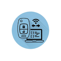 Immobilizer & Key Programming